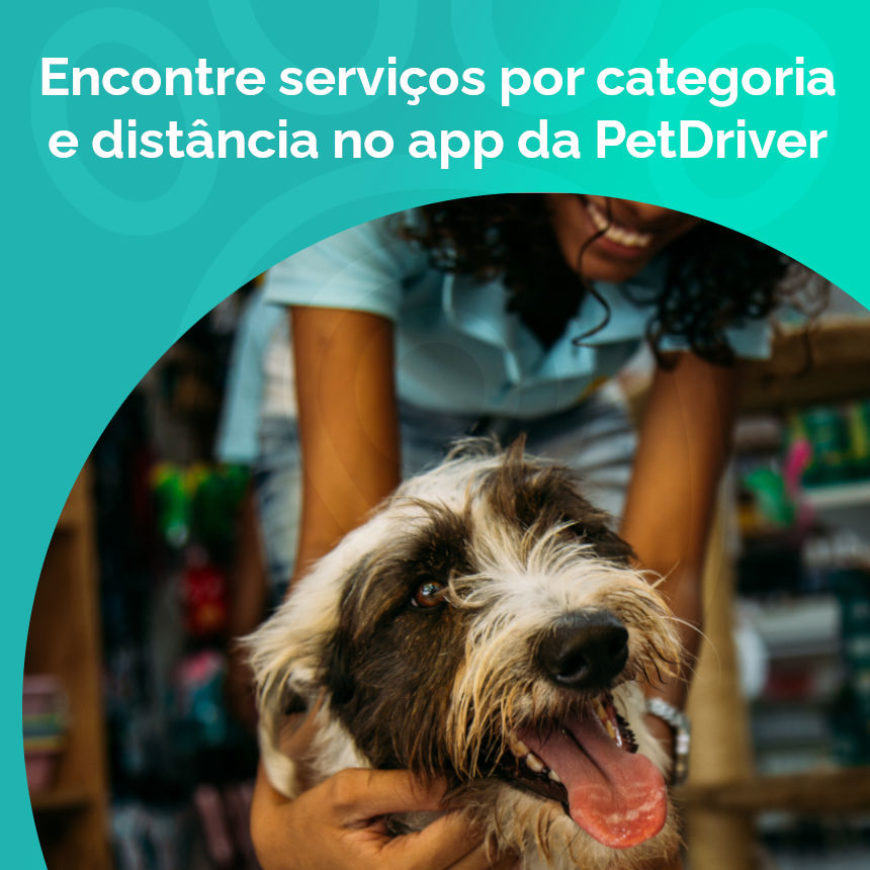 Agora você pode pesquisar estabelecimentos pet por categoria e distância no App PetDriver