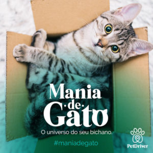 PETDRIVER_setembro_Mania-de-Gato_blog