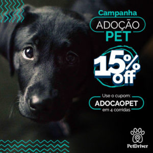 PETDRIVER_adocao-pet_blog