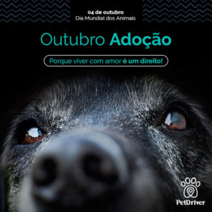 PETDRIVER_outubro-adocao-pet