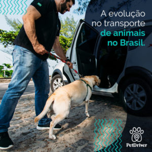 PETDRIVER_poucos-carros_blog