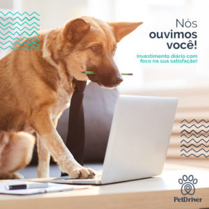 PETDRIVER_valores-qualidades