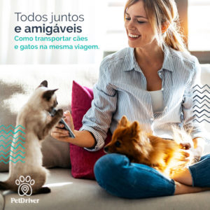 PETDRIVER_transporte-de-Caes-e-gatos_BLOG