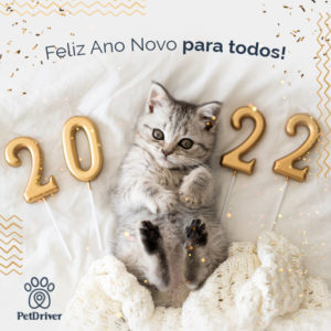 PETDRIVER_Ano-Novo-2022_blog