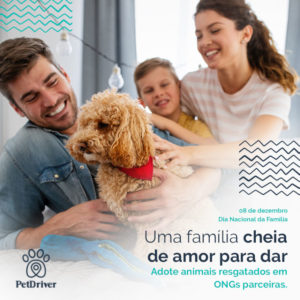 PETDRIVER_Dia da Familia_blog