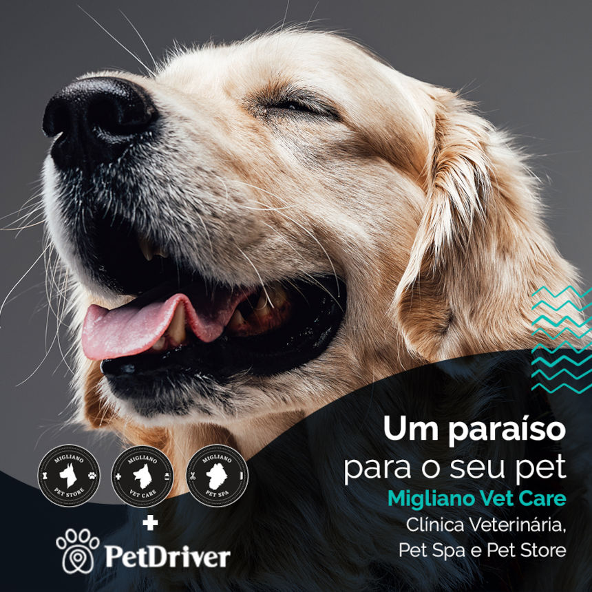 PETDRIVER_Parceria-Migliano_blog