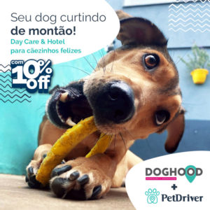 PETDRIVER_Parceria_Doghood_blog