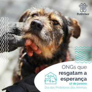 PETDRIVER_ONGs protetoras_blog