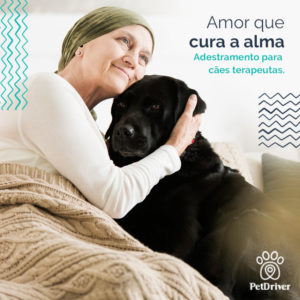 PETDRIVER_cinoterapia_Amor-que-cura_blog