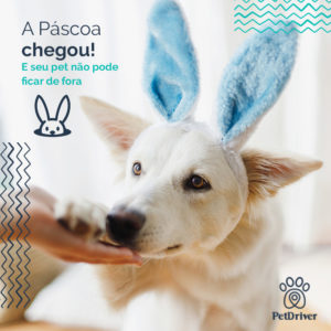 PET Pascoa 1000x1000