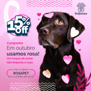 PET Campanha outubro rosa 1000x1000