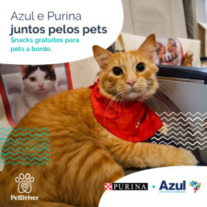 PET Azul Purina 1000x1000