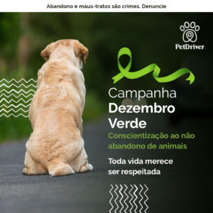 PET Campanha Dezebro Verde 1000x1000