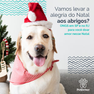 PET ONGs Natal 1000x1000