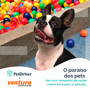 PET Parceiro Ventura 1000x1000