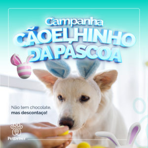 PET Campanha Coelhinho da Pascoa 1000x1000 1