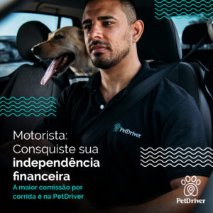 PET Idependencia financeira 1000x1000