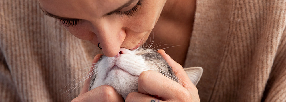 No mês das mães, seja um porto seguro para vidas pets 2 image 2 12