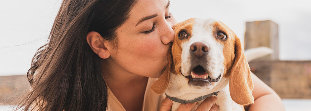 No mês das mães, seja um porto seguro para vidas pets 1 image 2 13
