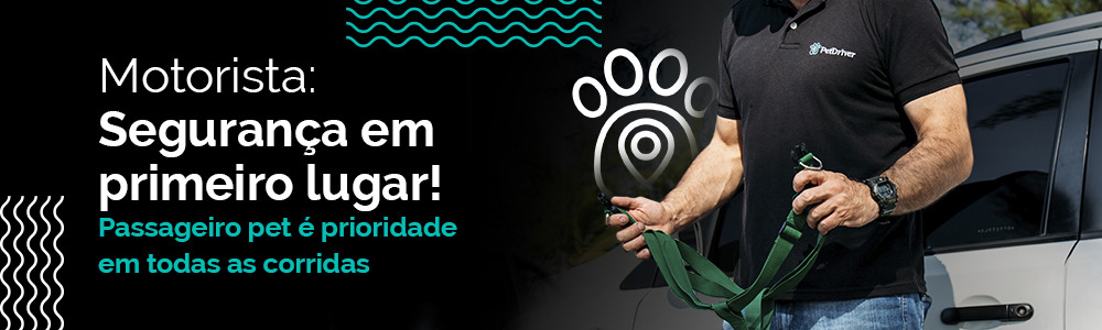 Motorista: A segurança do passageiro pet em primeiro lugar 1 image 2 7