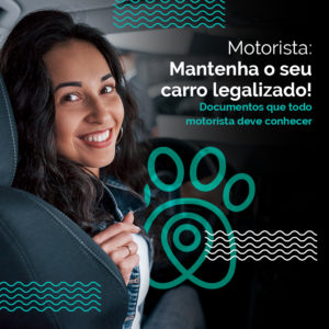 PET Carro legalizado 1000x1000