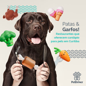 PET Patas e garfos 1000x1000