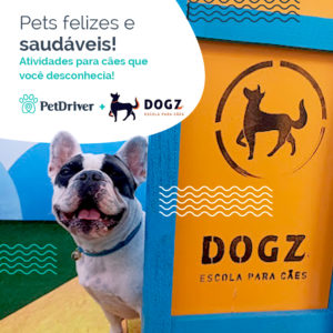 PET Parceiro Dogz 1000x1000