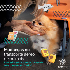 PET Transporte aereo 1000x1000