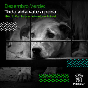 PET Dezembro Verde 1000x1000