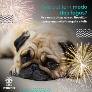 PET Fogos de artificio 1000x1000