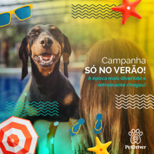 PET Campanha so no verao 1000x1000