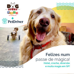 PET Parceiro Dog Story Land 1000x1000