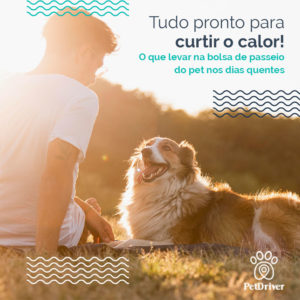 PET Passeio 1000x1000