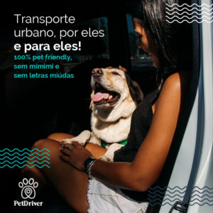 PET Transporte urbano 1000x1000