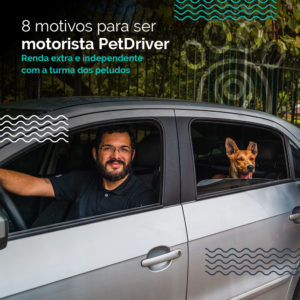 PET 8 motivos 1000x1000