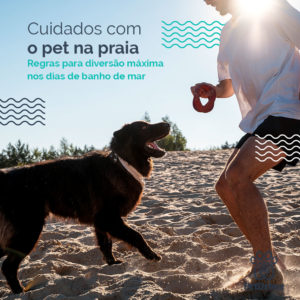 PET Cuidados na praia 1000x1000