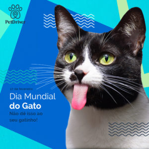 PET Dia Mundial do Gato 1000x1000