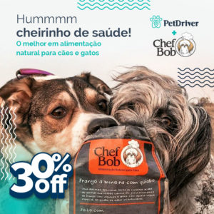 PET Parceiro Chef Bob 1000x1000