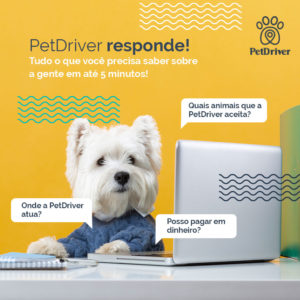 PET PetDriver responde 1000x1000