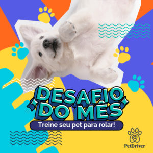 PET Desafio 1000x1000 2