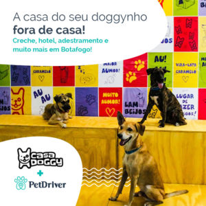 PET Parceiro Casa Doggy 1000x1000
