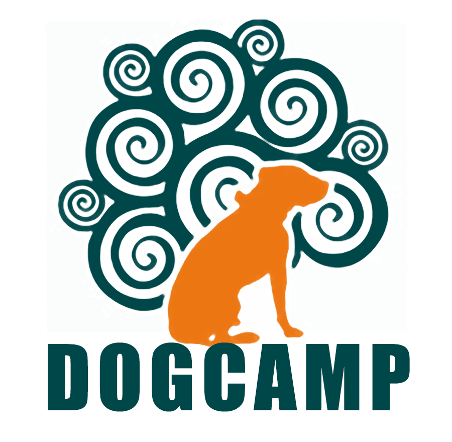 Dog Camp