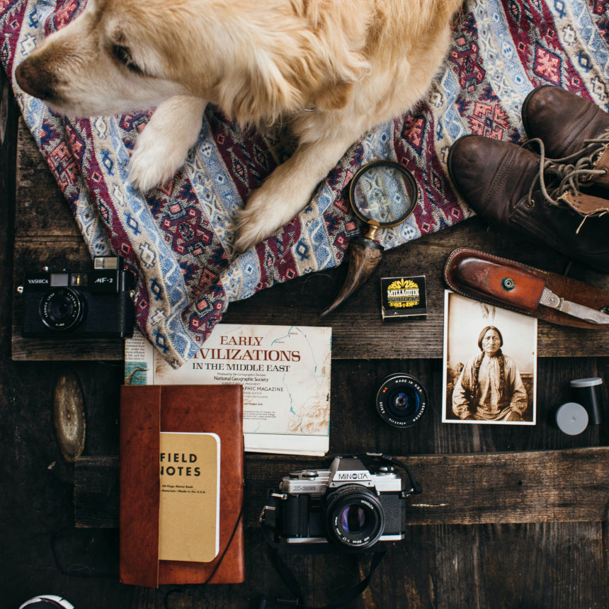 Dicas para tirar férias com seu pet!