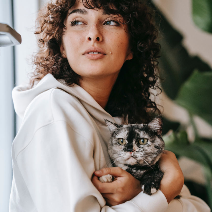 Gripe Felina, e agora?