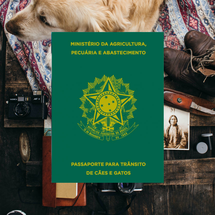 No Dia do Turismo saiba como tirar o passaporte do seu pet?