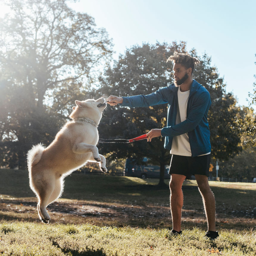 Mãe, você sabe de quanto exercício seu cachorro precisa?