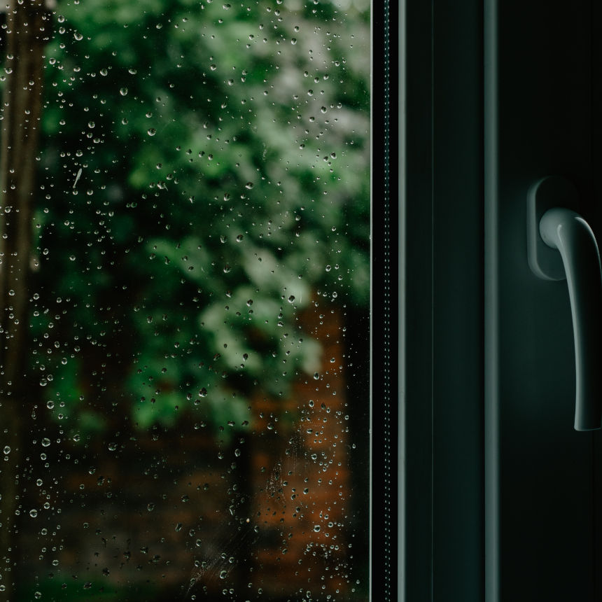 Os perigos da chuva para o seu cachorro!