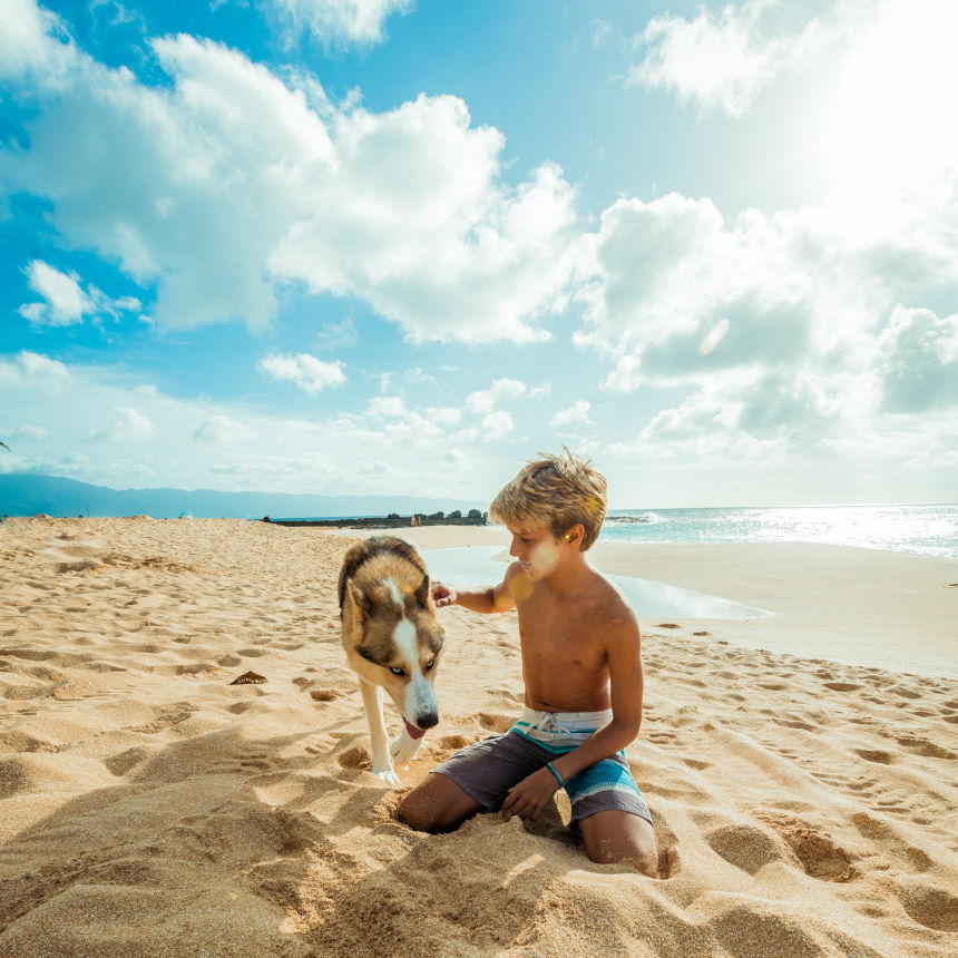 Acabaram as férias, mas não acabou o amor!