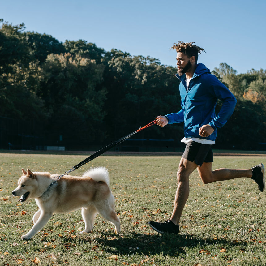 Dicas de atividades para as férias com seu cãozinho!