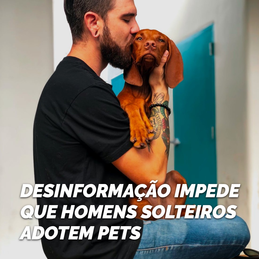 Desinformação impede que homens solteiros adotem pets